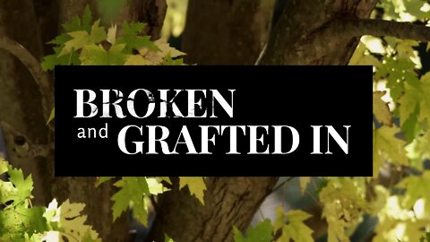 Broken and Grafted In