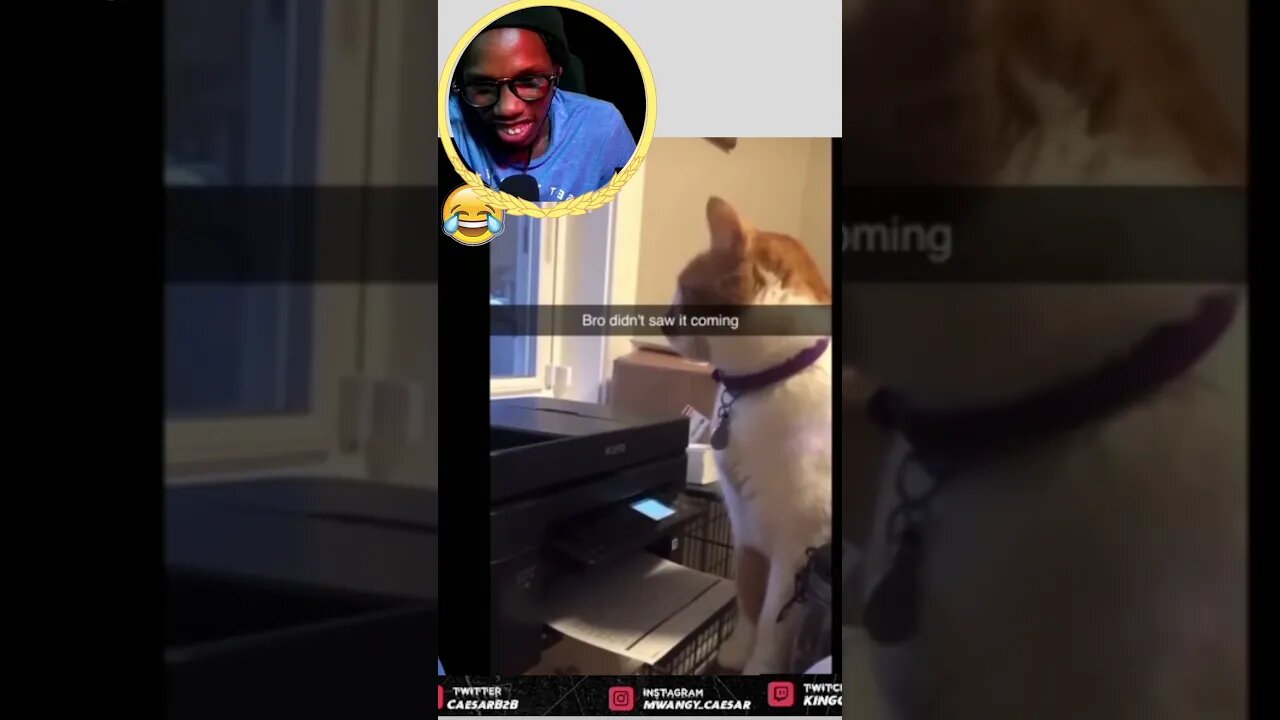 Memes From Discord Part 20