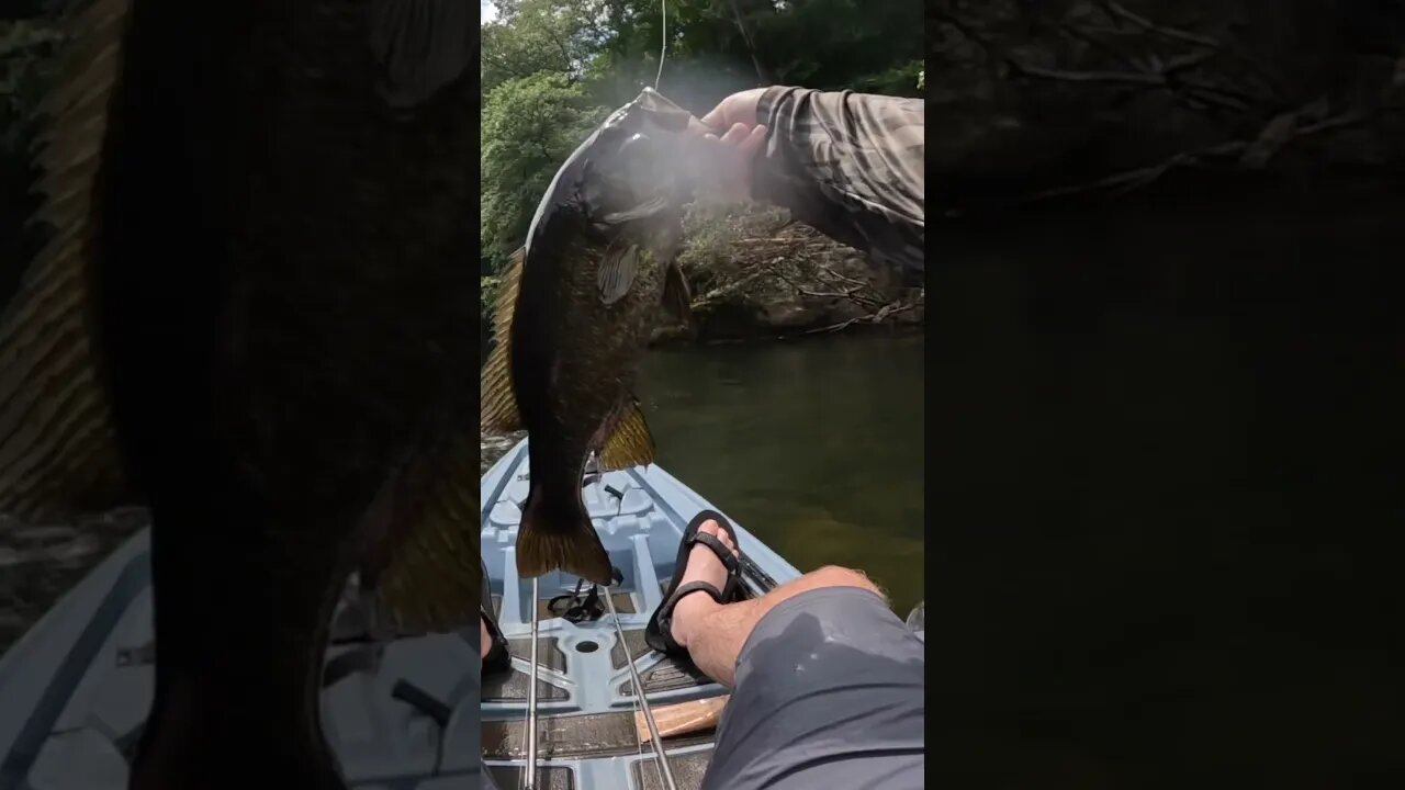 I CAN’T Believe This TINY Creek Held Fish Like This! #creekfishing #kayakfishing