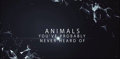 Animals Never Heard