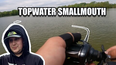 TOPWATER SMALLMOUTH _ MEGABUCKS Tournament Practice