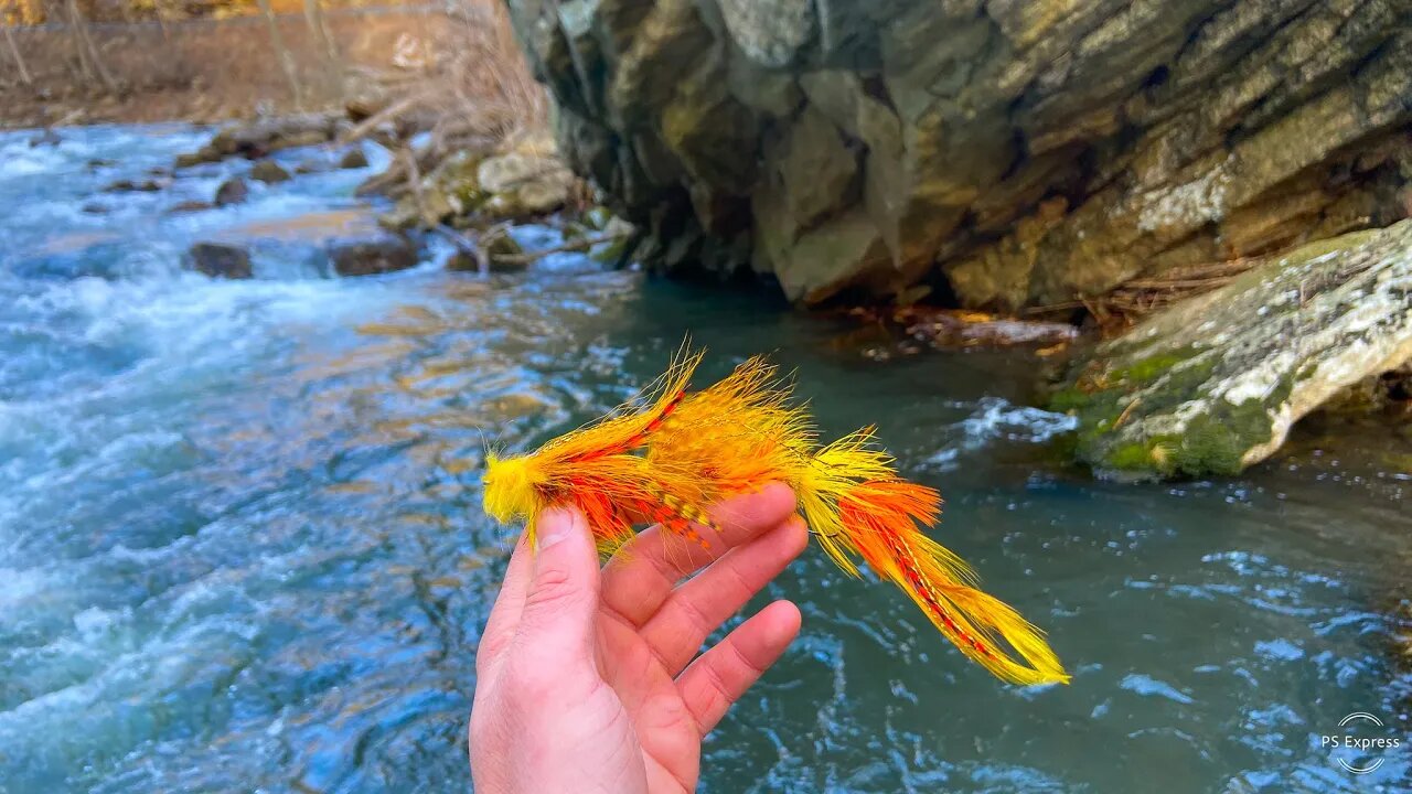 Fly Fishing for the most Beautiful Brown Trout I've Ever Seen! (Streamer Time!)