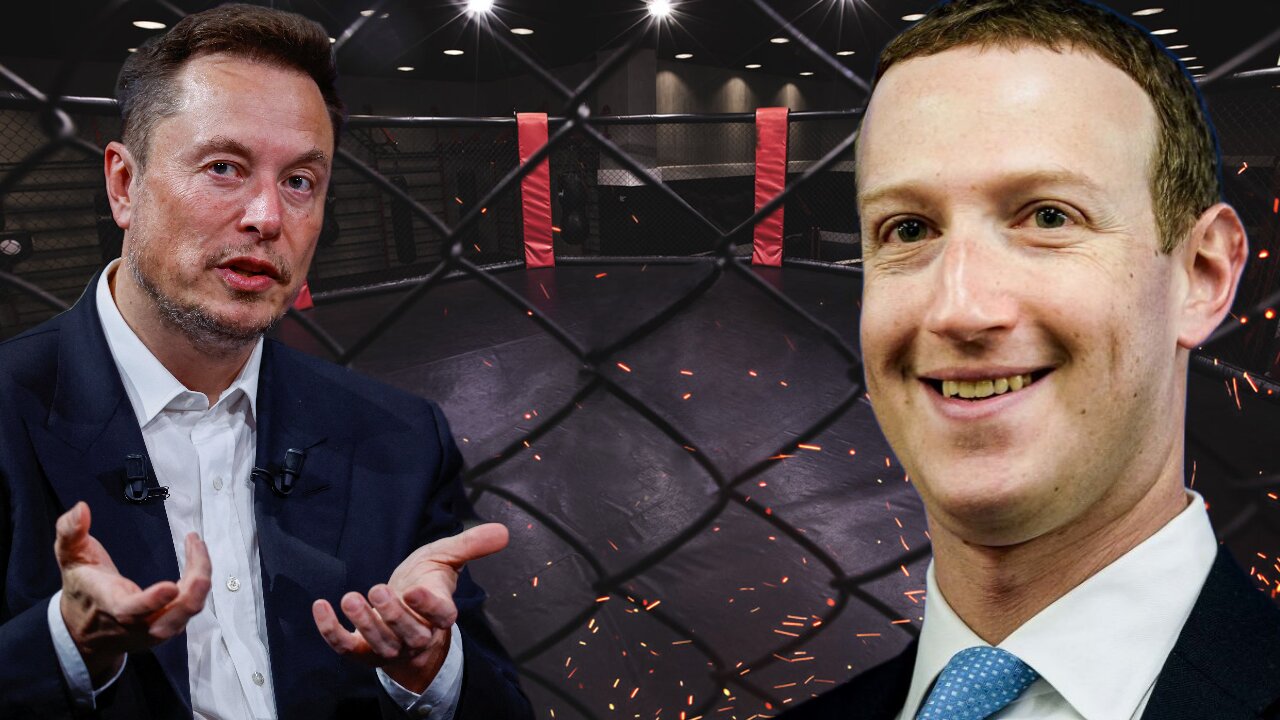 Elon Musk vs Mark Zuckerberg in MMA