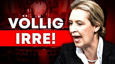 Der große AFD Faktencheck! (Alice Weidel im Fokus)