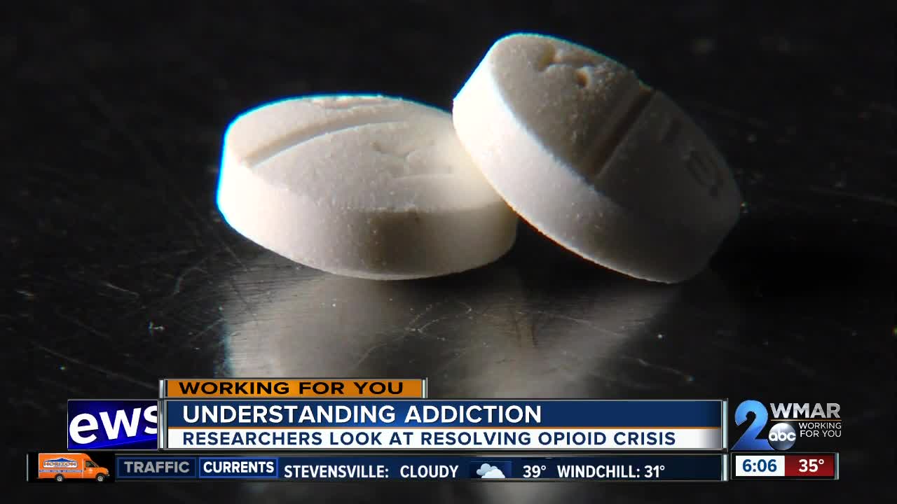 Understanding addiction: Researchers look at resolving opioid crisis