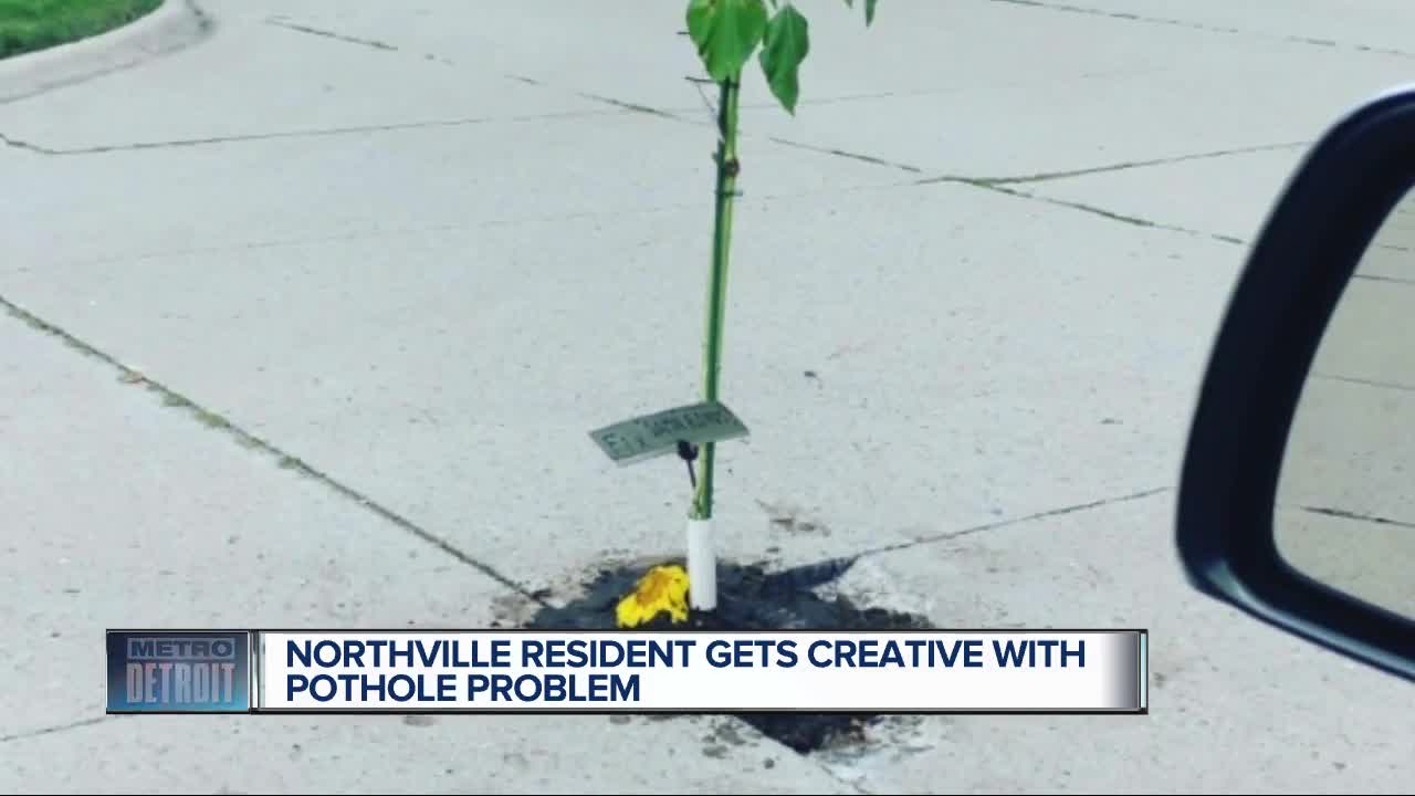 Tree planted inside pothole in Northville neighborhood with note that reads, 'Fix The Damn Potholes'