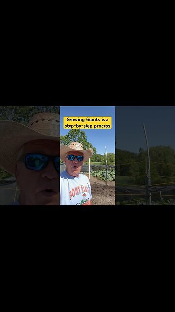 Giant Pumpkin shoes #bubba #garden #giantpumpkin