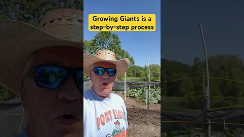 Giant Pumpkin shoes #bubba #garden #giantpumpkin