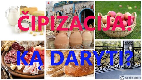 ČIPIZACIJA KĄ DARYTI