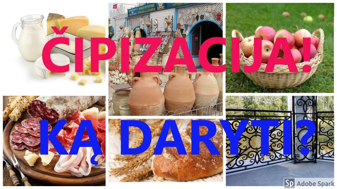 ČIPIZACIJA KĄ DARYTI