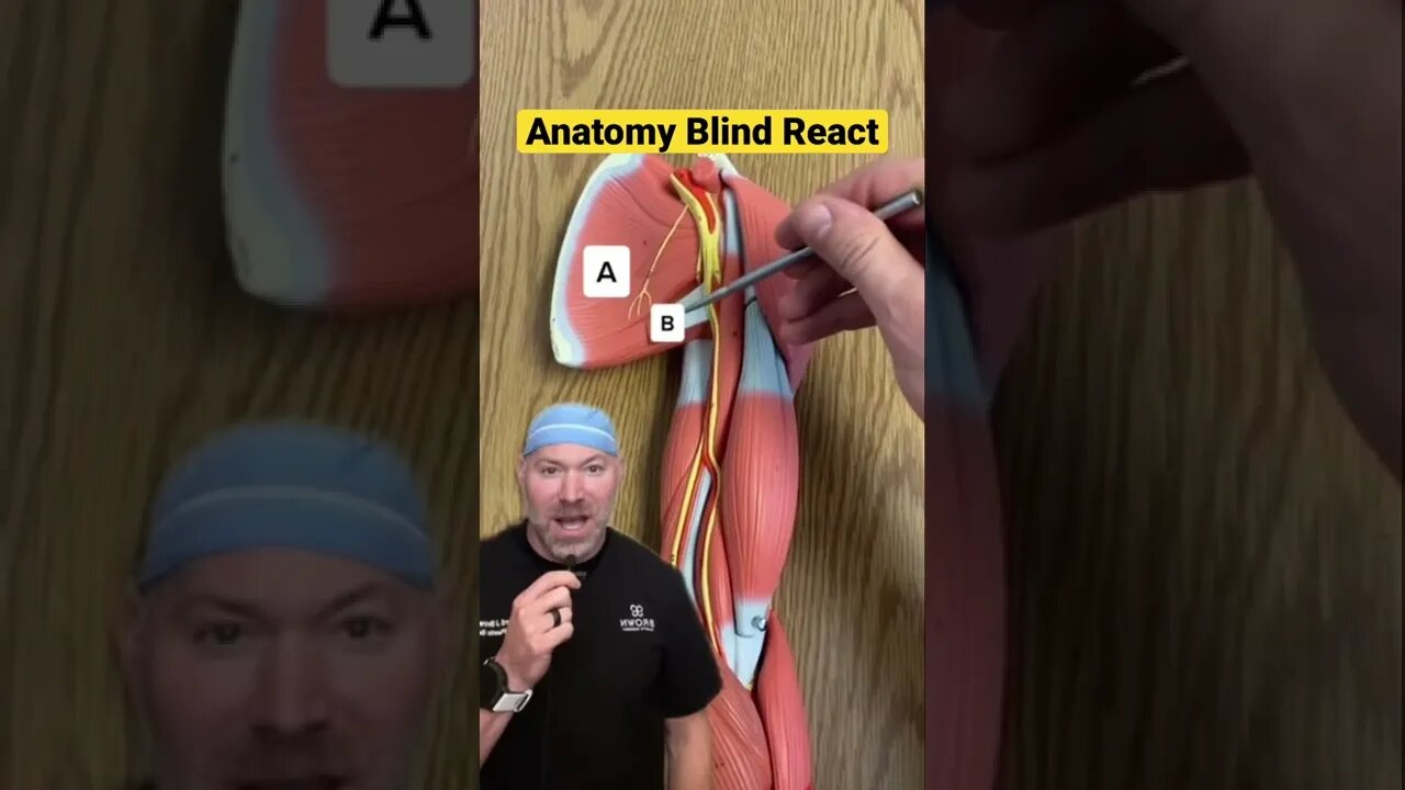 Anatomy Blind React 👨‍⚕️ #shorts