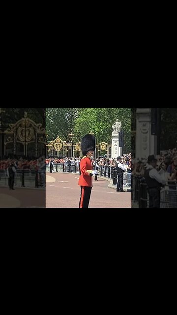 trooping the colour #buckinghampalace 7