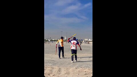 cricket fever