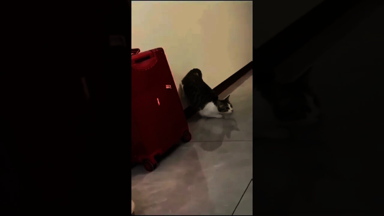 That moment when you want SOMETHING but forgot the present for anniversary