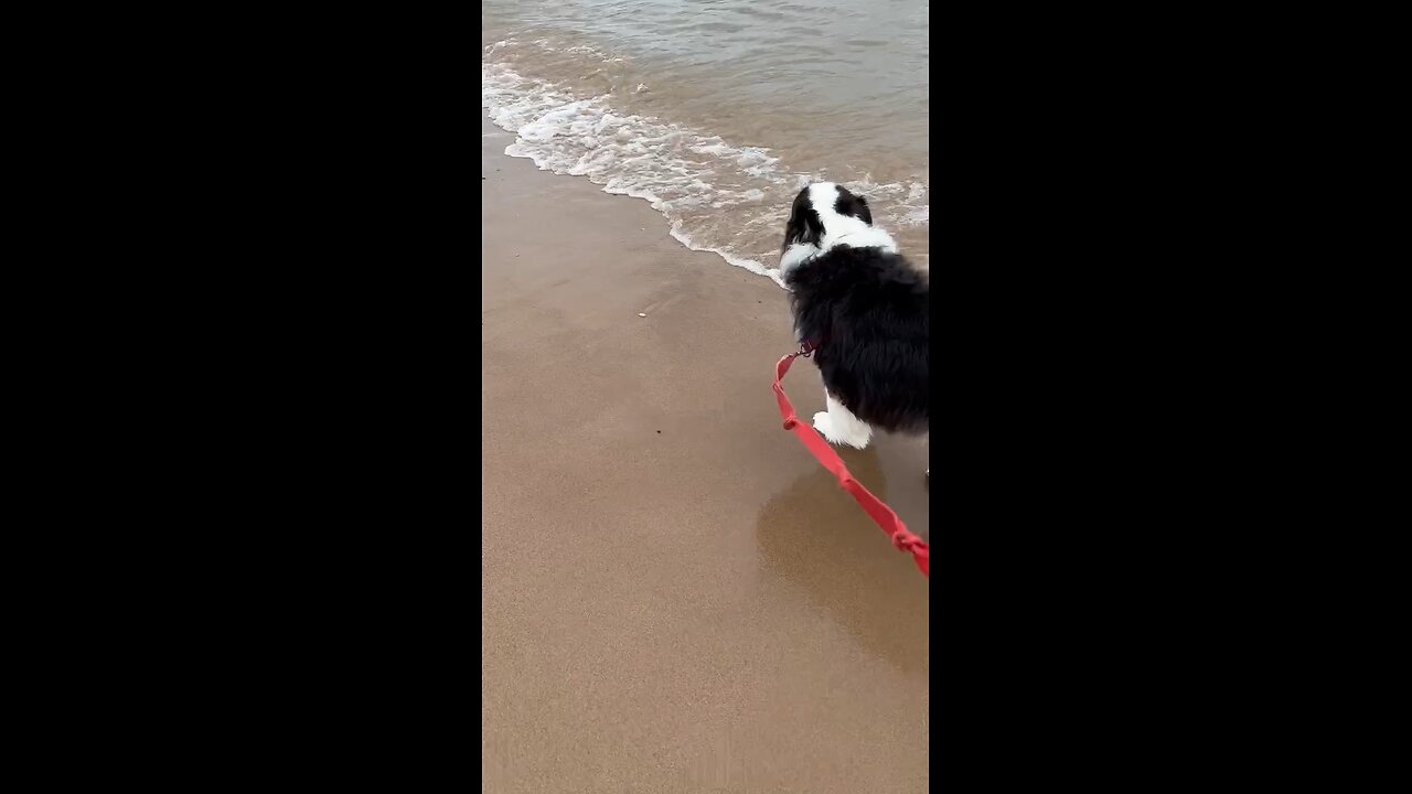 First timer at Lake Michigan on beach!