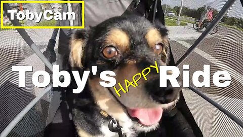 eBike Riding with Toby | TobyCam