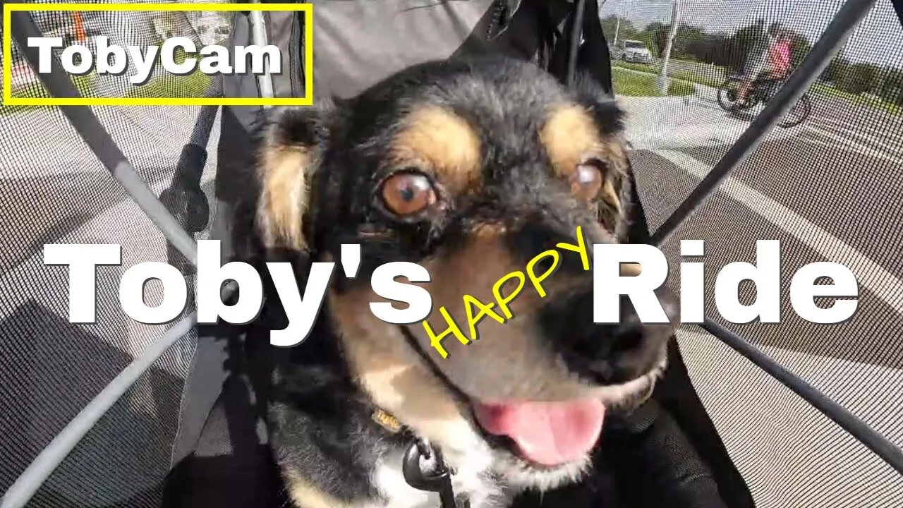 eBike Riding with Toby | TobyCam