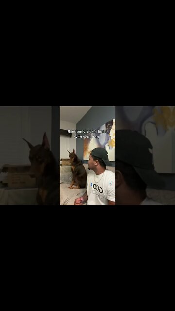 Randomly Pick A Fight With Your Dog Speedpaint #shorts