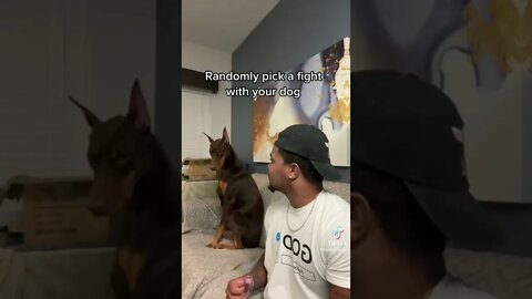Randomly Pick A Fight With Your Dog Speedpaint #shorts