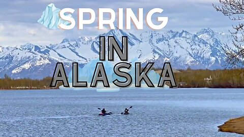 Spring in Alaska | This is a first for us...