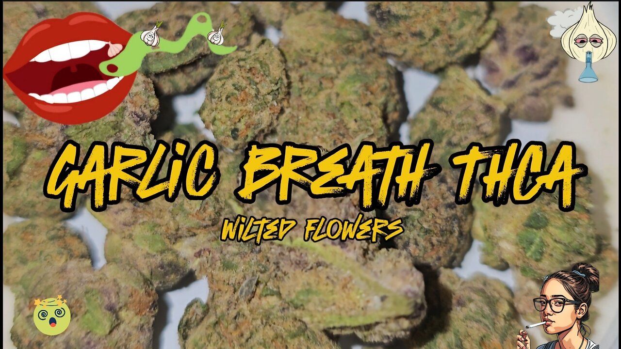 Garlic Breath THCa | Wilted Flowers