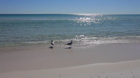 Pensacola Beach gentle waves and gin clear water