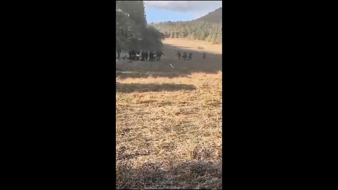 Hezbollah fighters