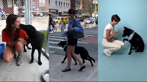Taylor Hill Celebrates Salem's 1st Birthday with Love | Sweet Baby Dragon, Catdog Moment