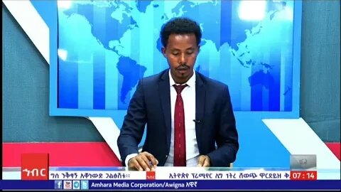 ጂጘ፡ ሚስክርም 29/2016 ዓ.ስ (አሚኮ)