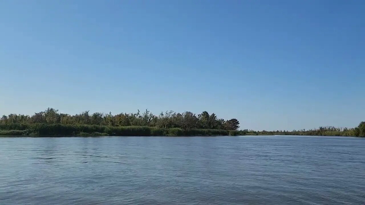 Honey Island Swamp, Louisiana