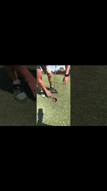 Fixing Dog Pee Spots 😡