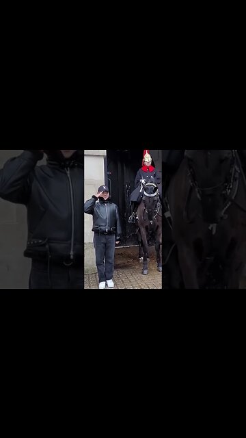 Salute selfie #horseguardsparade