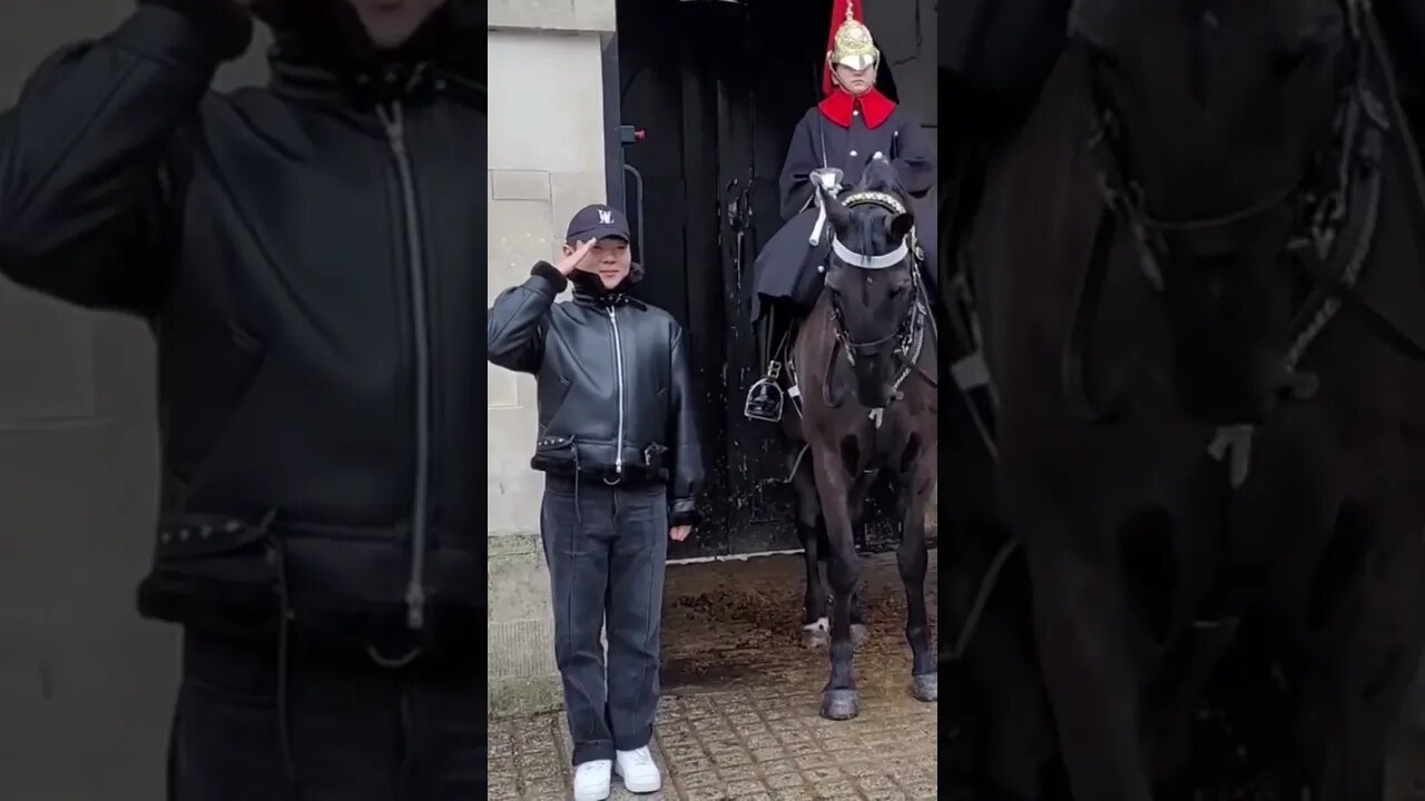 Salute selfie #horseguardsparade