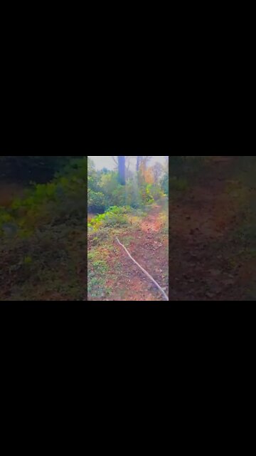 ultra realistic minecraft shaders - unbelievable raytracing [RL Simulator] 32k stick weapon mod