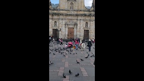 At Plaza Bolivar in Bogota