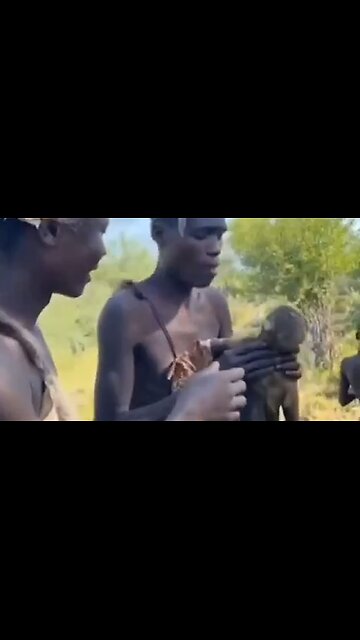 Šokující záběry Afričanů konzumujících upálenou opici! Hlavní zdroj šíření Mpox nákazy!