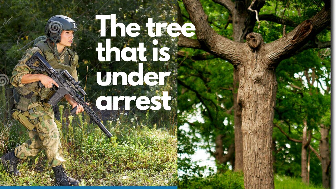 The tree that is under arrest for harassing an office