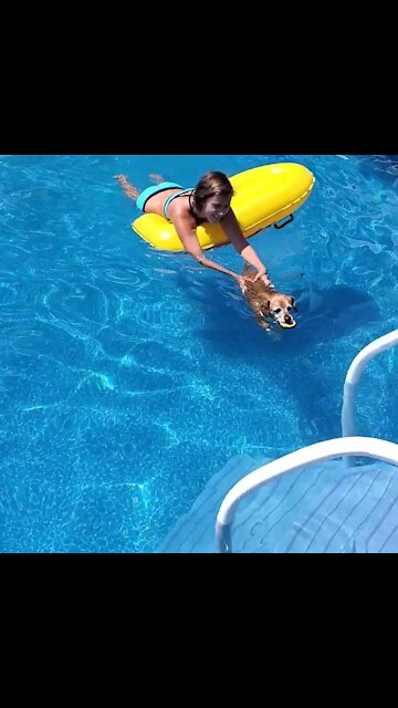 Dog loves being a personalized motor boat