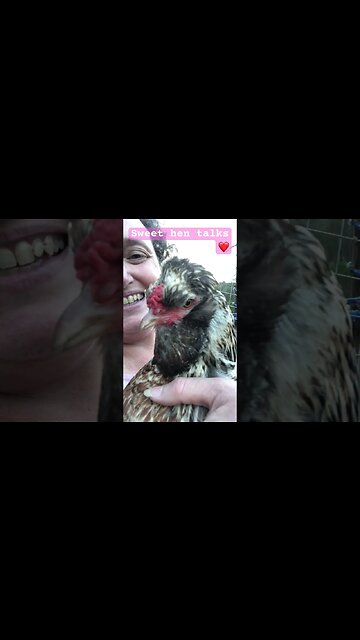 Sweet hen sounds ❤️ chickens can be great pets!