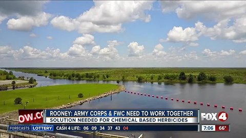 Congressman wants Army Corps and FWC to work together on herbicides