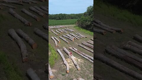 Logging Project: Behind the Scenes. #deerhunting #logging #shorts #hunting #timberproject