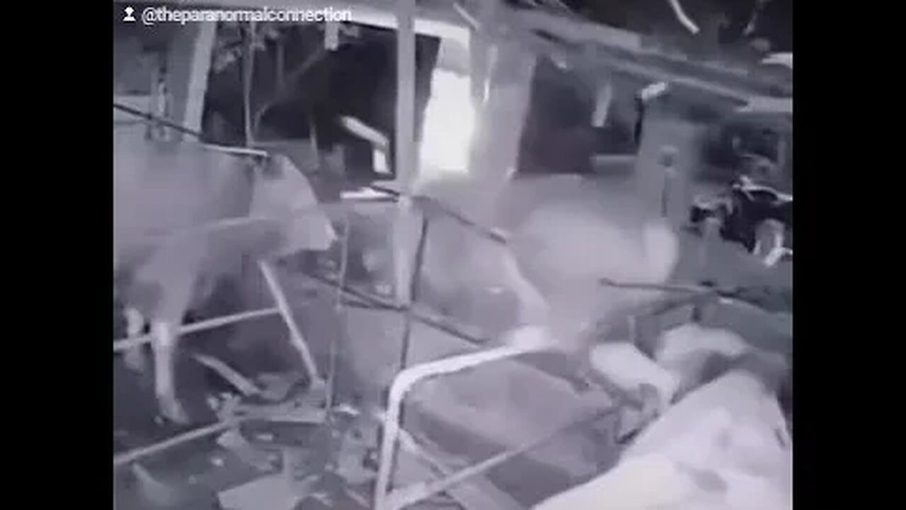 Was this Cow abducted?