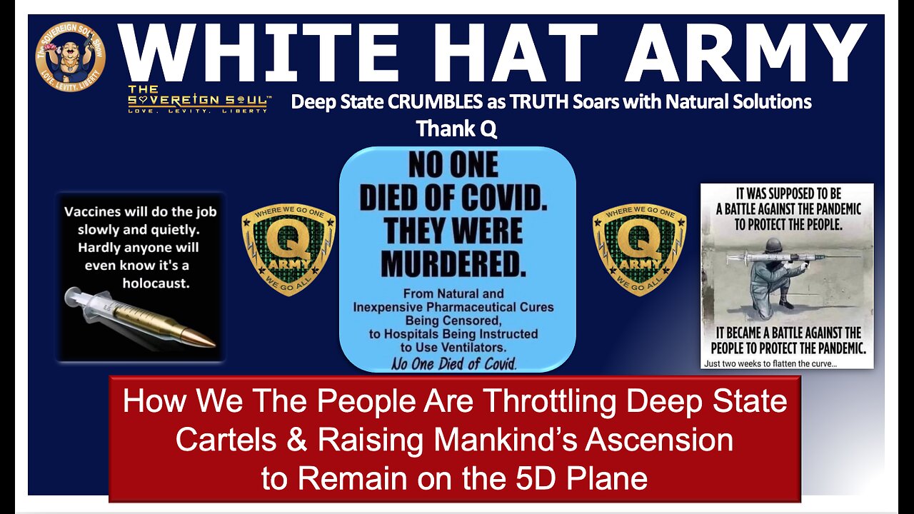 Bye👋Bye [DS]! Thank Q WHITE HAT ARMY & How We The People ARE Raising Consciousness to 5D ASCENSION