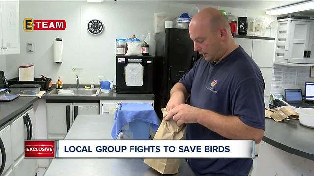 Local group wants downtown businesses to flip the switch to save migrating birds