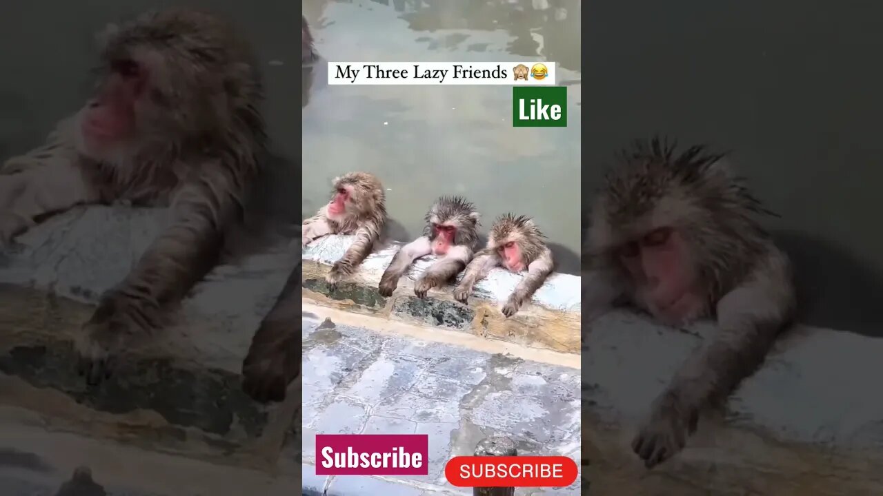 Three Lazy Friend's #youtubeshorts #youtube #youtuber #ytshorts