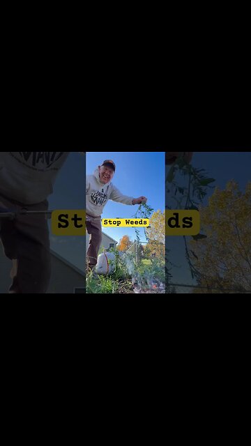 Stop Weeds from coming back #bubba #garden#pumpkinpatch