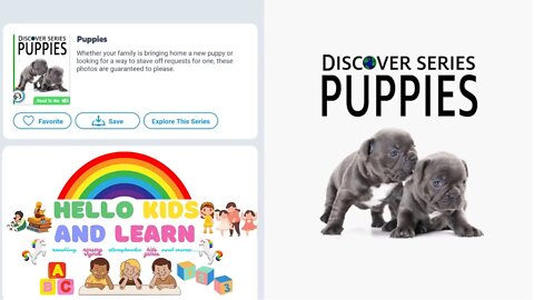 Discover Series - Puppies