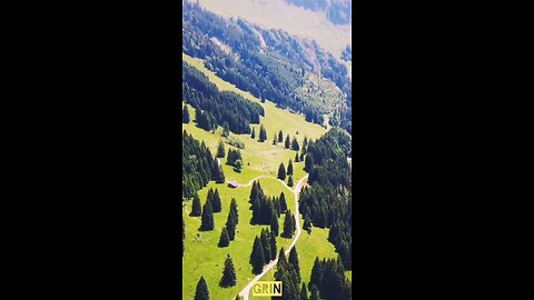 🟢Aivi - Ohne Dich...💚(2)