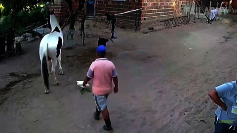 funny-scary bests prank ever🤣🤣=try not to laugh#shorts