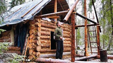 Off Grid Log Cabin: Building a Log Cabin for My Dog